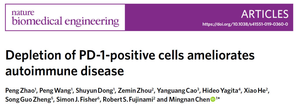 Depletion of PD-1 cells, a Nature Biomedical Engineering Paper